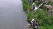 PIC_7022 (1)